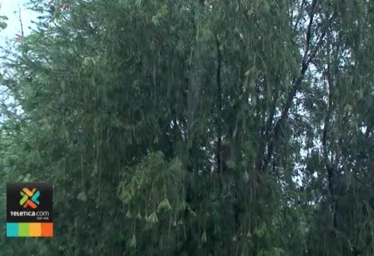 Semana inicia con intensas lluvias tras el paso de nueva onda tropical