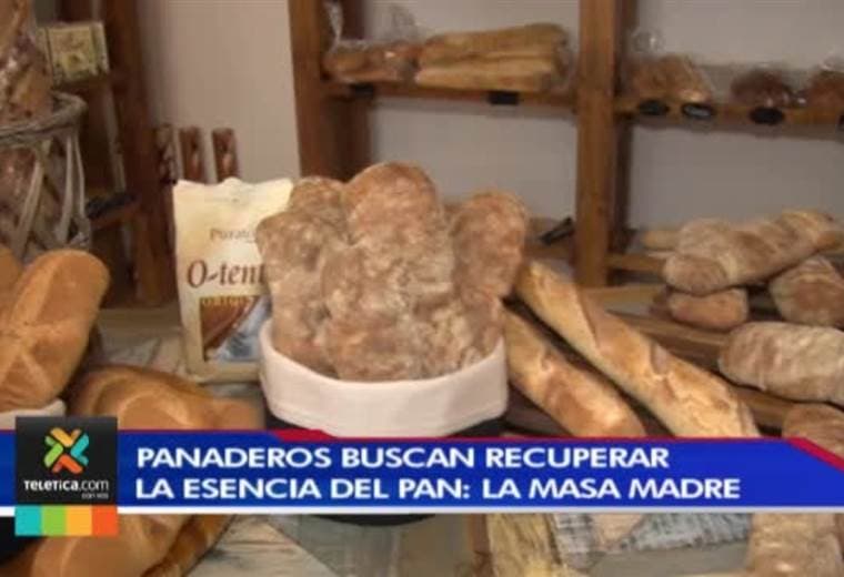 Nueva moda entre los panaderos busca recuperar la esencia del pan: la masa madre
