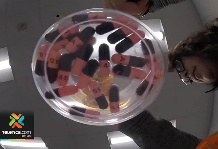 Campaña busca recolectar medicamentos vencidos para evitar daños a la salud