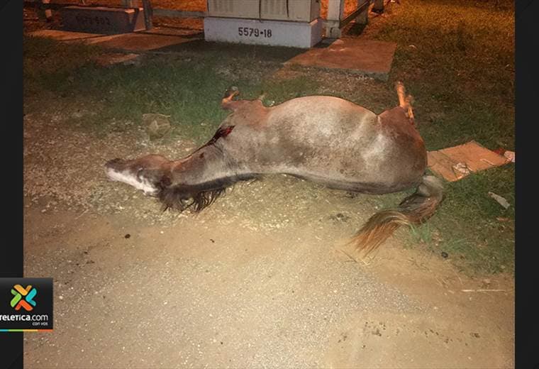 Créditos: Juan Manuel Salazar