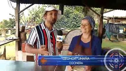 De la mata a la taza