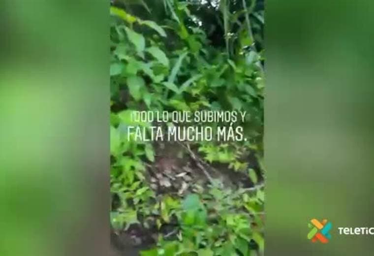 Ciudadanos rescatan dos perros en peligro en la cima de una montaña en Puntarenas