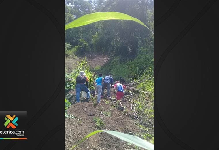 Ciudadanos rescatan dos perros en peligro en la cima de una montaña en Puntarenas