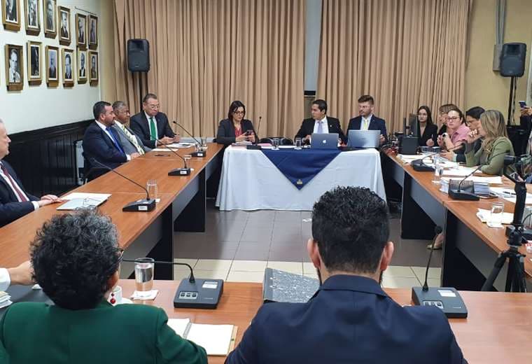 Cortesía Bressia Benel PLN