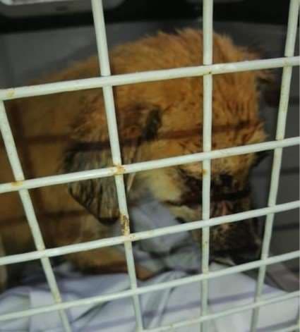 Fotografías: Irene Aguilar 