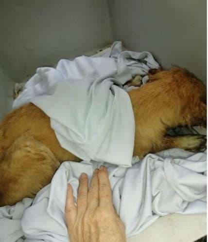 Fotografías: Irene Aguilar 