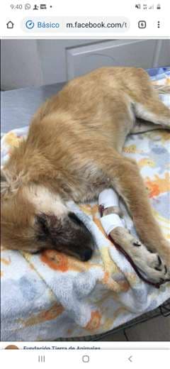 Fotografías: Irene Aguilar 