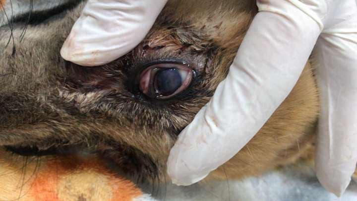 Fotografías: Irene Aguilar 