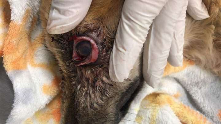 Fotografías: Irene Aguilar 