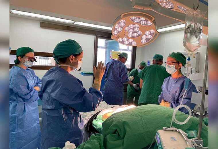 ¿Cuáles órganos puede donar un paciente vivo?