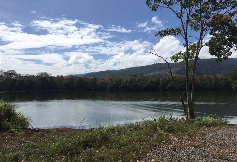 Imagen con fines ilustrativos