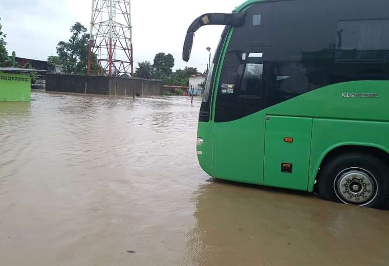 Plantel de buses de Caribeños en Matina, Limón. Cortesía Grupo Caribeños