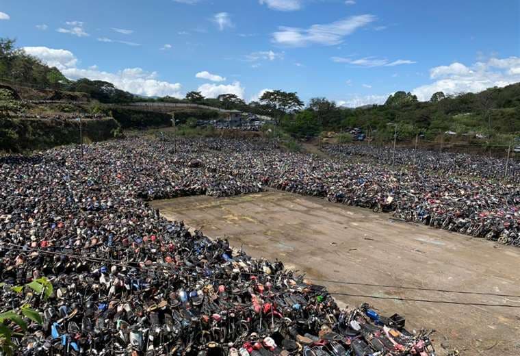 Cortesía prensa Cosevi