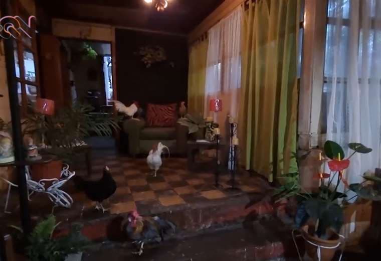 Casa centenaria se convertiría en hogar para familiares de enfermos