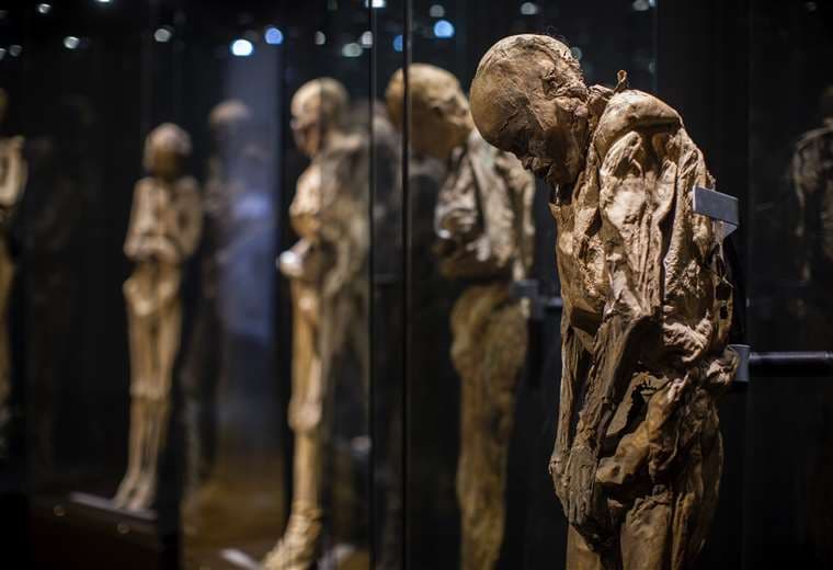 ¿Patrimonio o explotación? El debate por la exhibición de momias en México