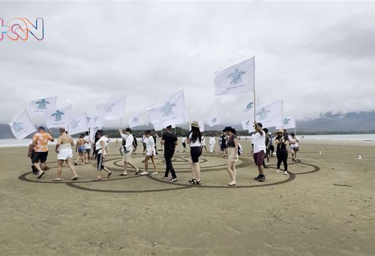 ¡Sin plástico! Realizan primera ‘Eco Clean Up 2024’ en Parque Marino Ballena