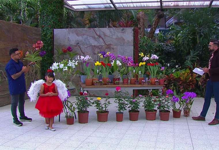Descubra cuáles son las flores más regaladas en San Valentín