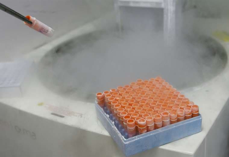 Tribunal en EE. UU. declara “niños” a embriones congelados y suscita críticas