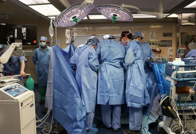 Muere paciente que recibió trasplante de riñón de cerdo