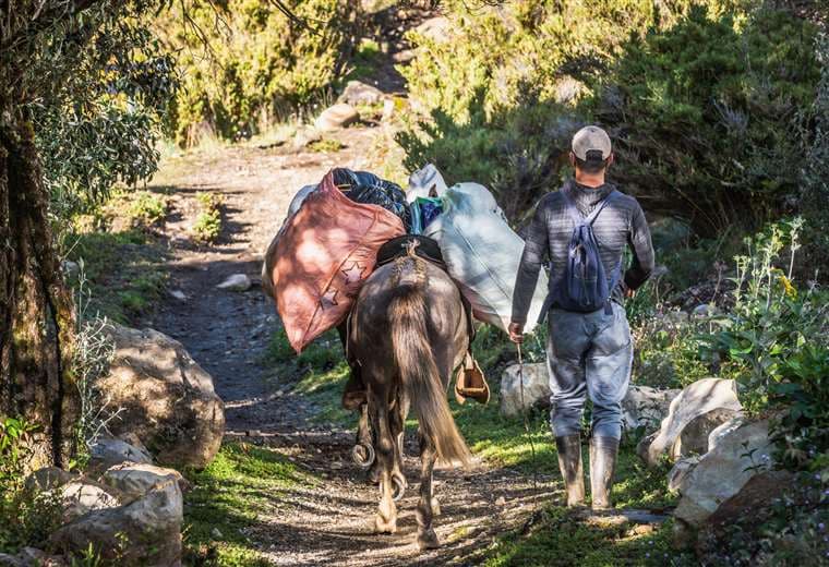 Contraloría ordena correcciones en cartel para acarreo y hospedaje en el Chirripó
