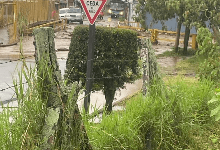 Fotografías: Alcalde Mario Redondo, Cartago