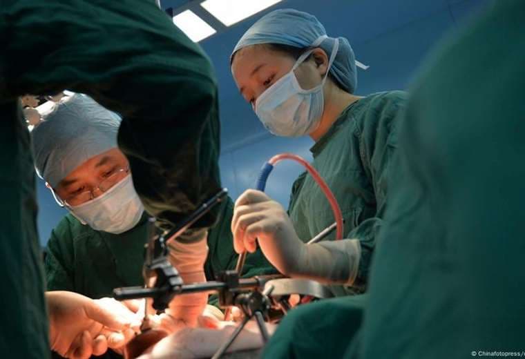 Paciente sobrevive meses con un hígado de cerdo modificado