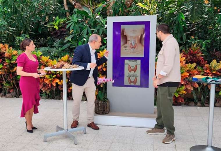 ¿Cansancio constante? Estas son las tres causas más comunes