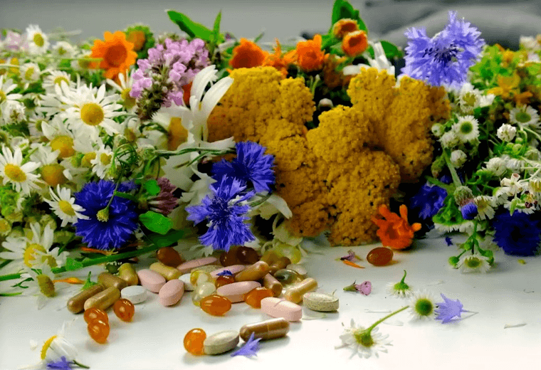 La nueva ruta del bienestar: por qué las macrobióticas están más de moda que nunca