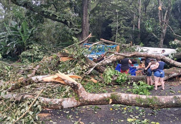 “Otra vez me cayó un árbol”: Vendedor de ceviche relata momento que casi le cuesta la vida