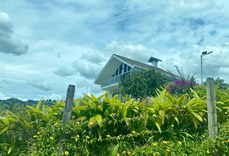 Paulo Villalobos | Teletica.com