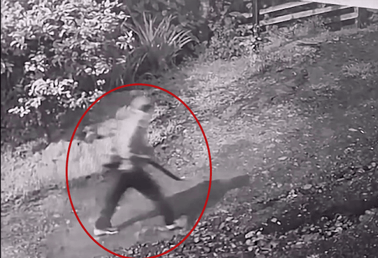 OIJ quiere hablar con novia del sospechoso de asesinar a adultos mayores en Alajuelita