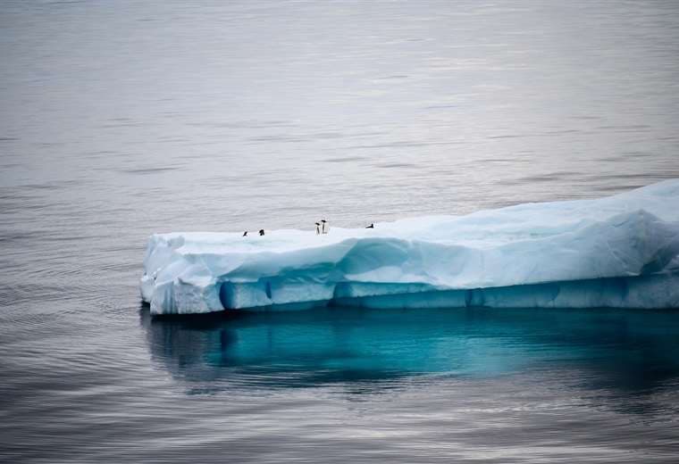 El Ártico registra el año más caluroso desde 1900