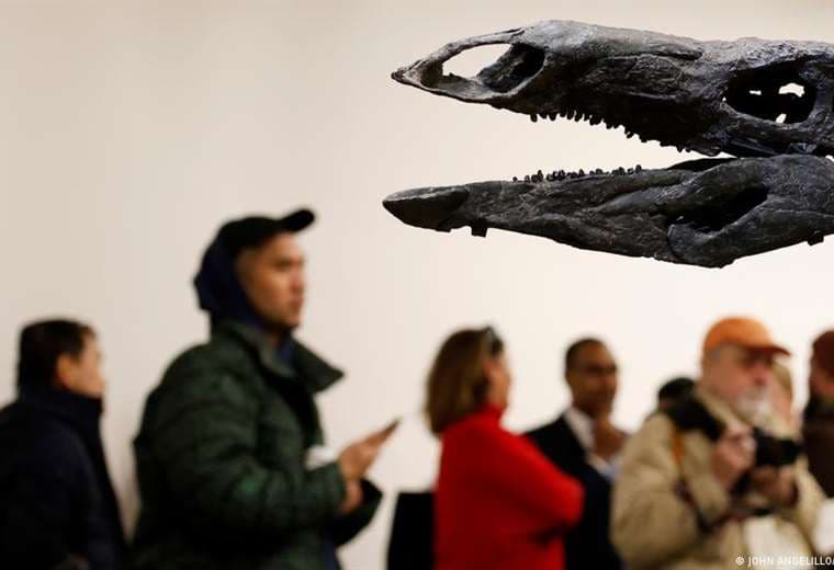 Más de 70 nuevas especies descubiertas en 2025, muchas latinoamericanas