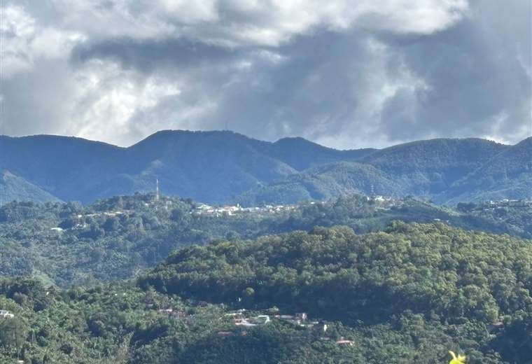 OIJ investiga muerte de bebé indígena panameña en zona cafetalera de Frailes