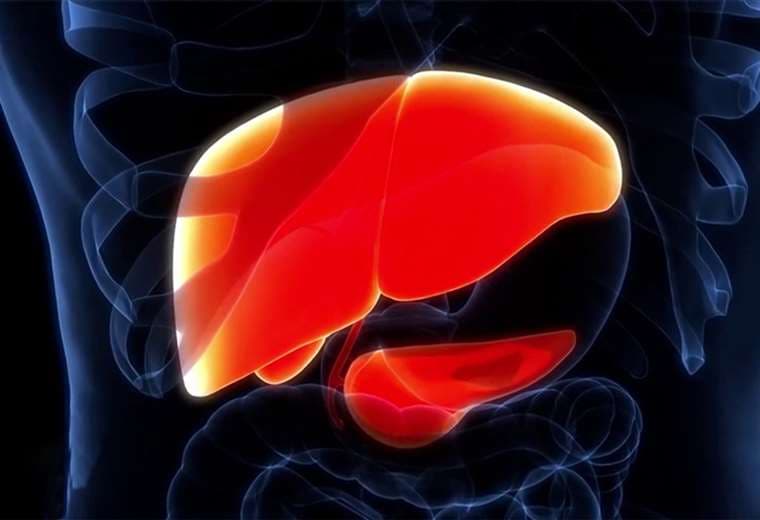 Hígado graso: el trastorno que afecta a más personas de lo que cree