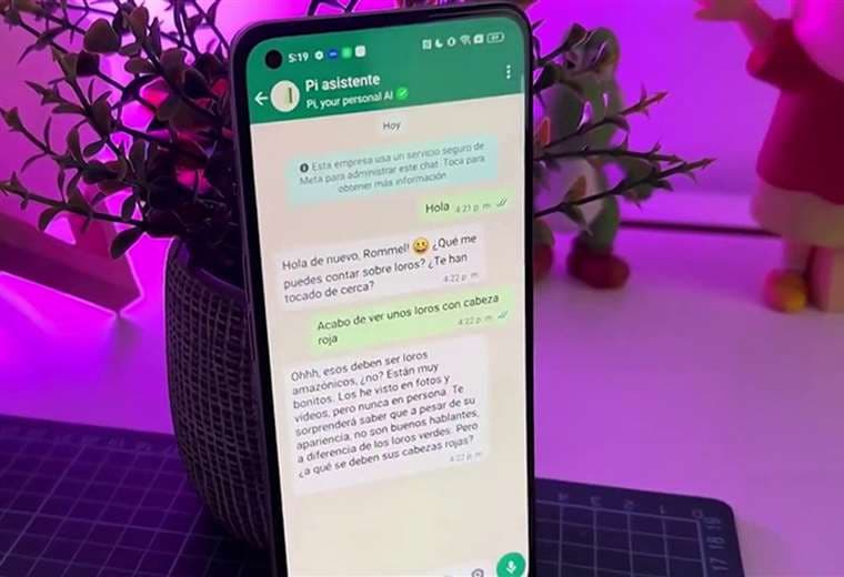 WhatsApp ofrece atención psicológica, ¿sustituye una consulta profesional?