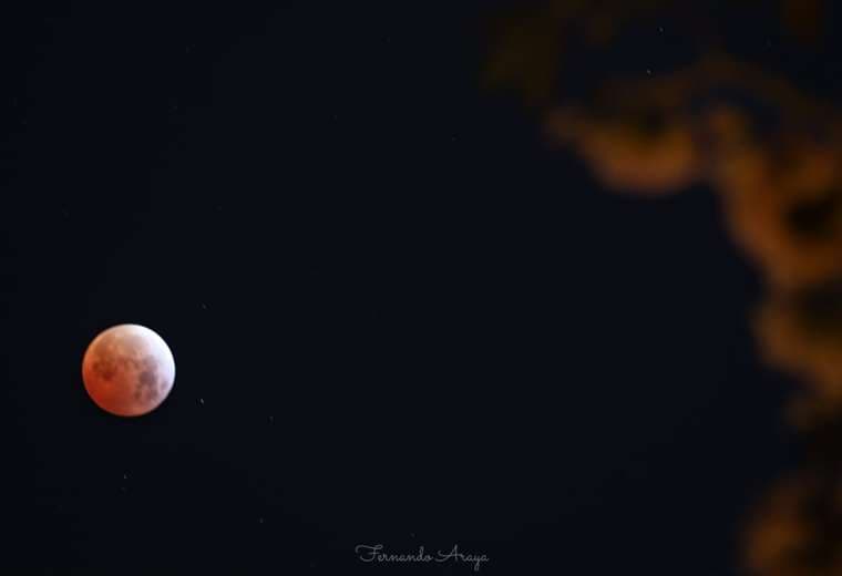 Foto: Fernando Araya