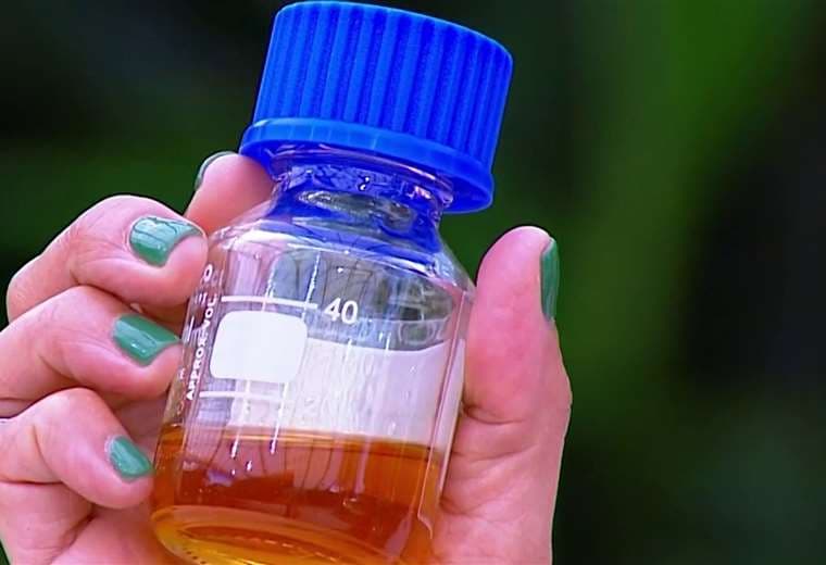 ¿Es cierto que la miel nunca vence? Esto dice la evidencia científica