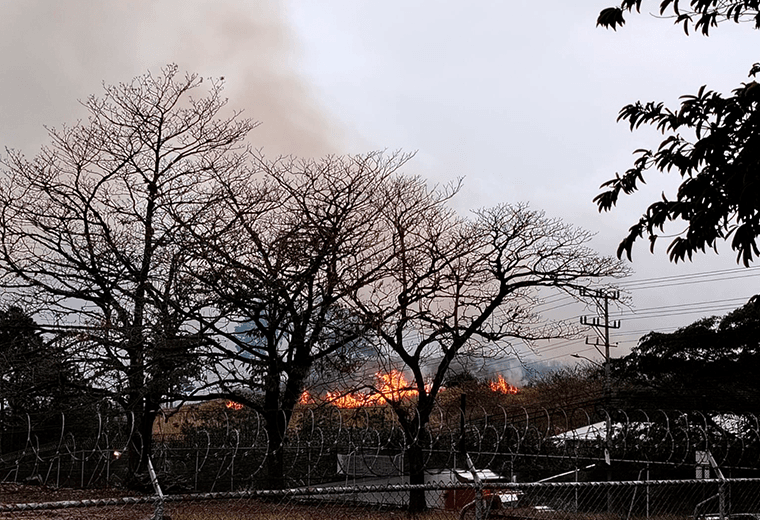 Fuertes vientos complican combate a incendios en Grecia