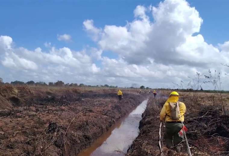 Incendio consumió doce hectáreas del Refugio Caño Negro