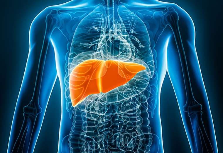 ¿Funciona realmente la limpieza del hígado? Mitos y verdades de esta práctica