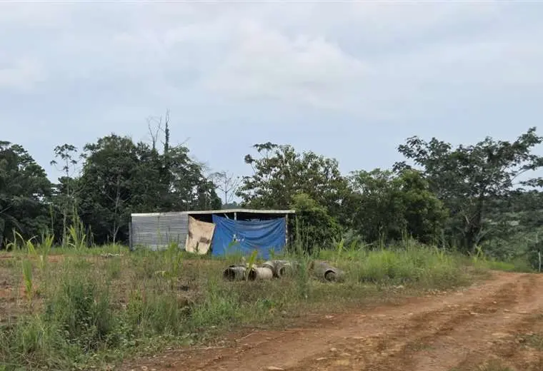 Balas, sangre y gasolina: escena de horror en Limón
