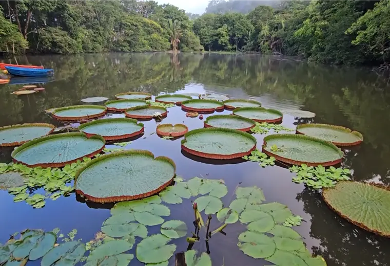 Descubra el Complejo Turístico los Chocuacos en Puntarenas
