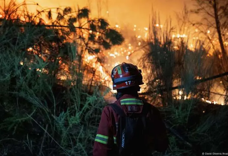 España pide ayuda a la UE para combatir los incendios