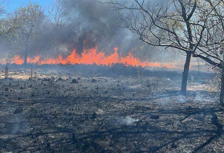 Bomberos atienden tres incendios forestales de manera simultánea