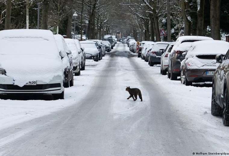 Ola de frío azota Europa y deja cinco muertos por nevada en Francia