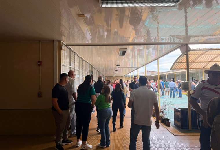 TSE aclara qué pasa si a las 6 p. m. aún hay fila en centros de votación