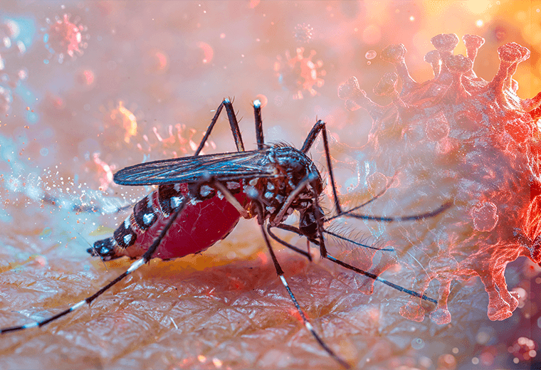 Salud detecta brote de chikungunya en Playa Langosta