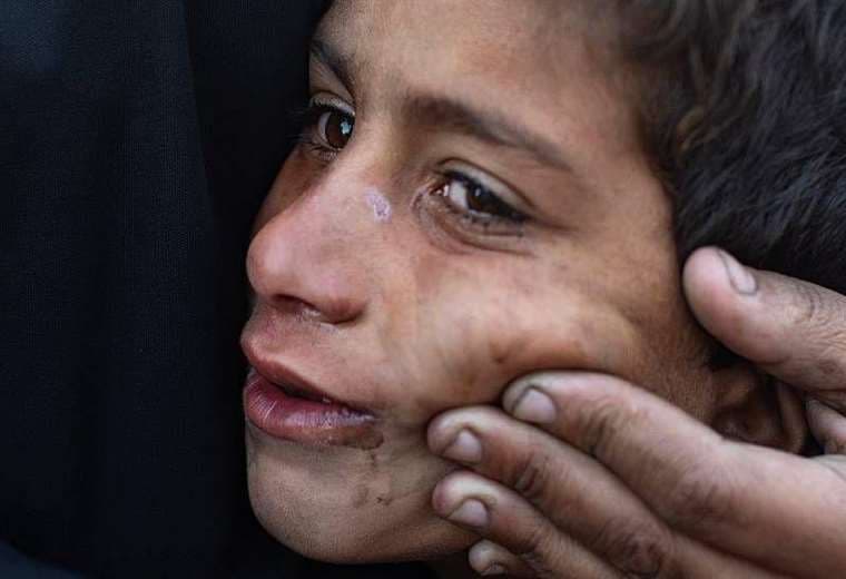 “Cese el fuego que sigue enterrando niños”: más de 500 palestinos muertos en Gaza tras tregua