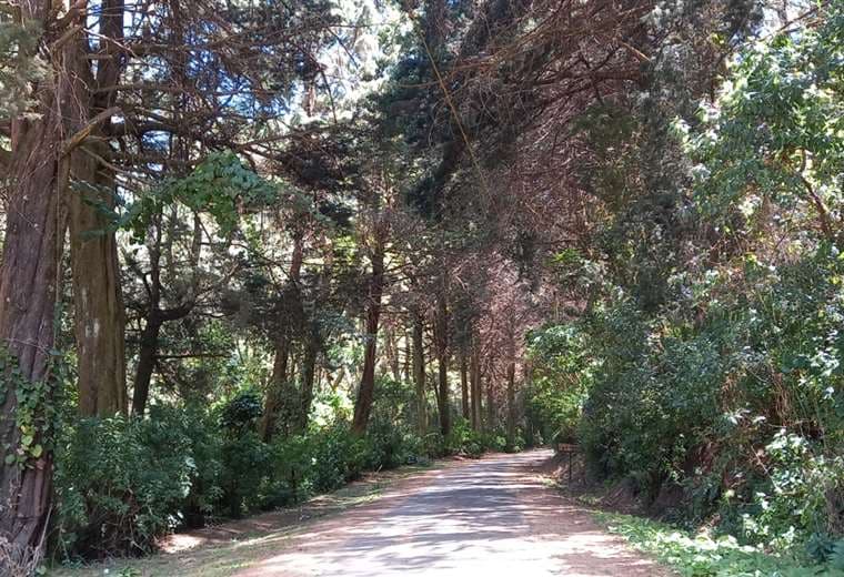 Turista extranjero muere dentro del Parque Nacional Volcán Irazú